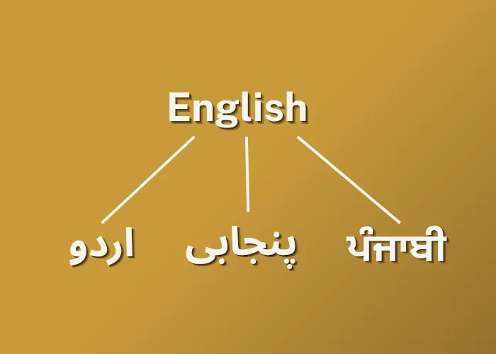 Urdu and Punjabi Translation
