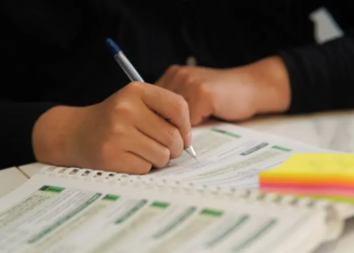 Certified translator reviewing Urdu documents for USCIS